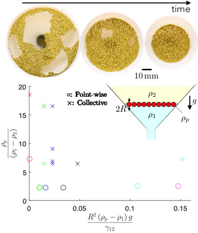 photos showing the 'Cheerios Effect'